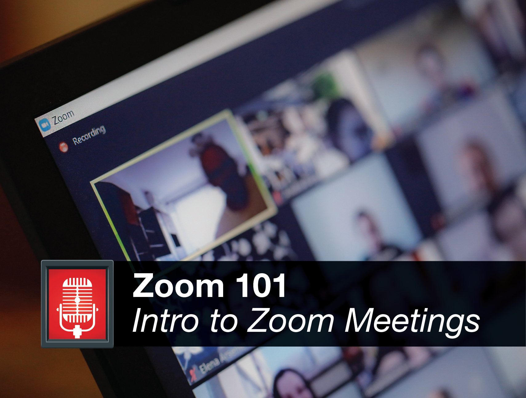 Zoom 101 Intro To Zoom Meetings For Participants And Co Hosts Adult