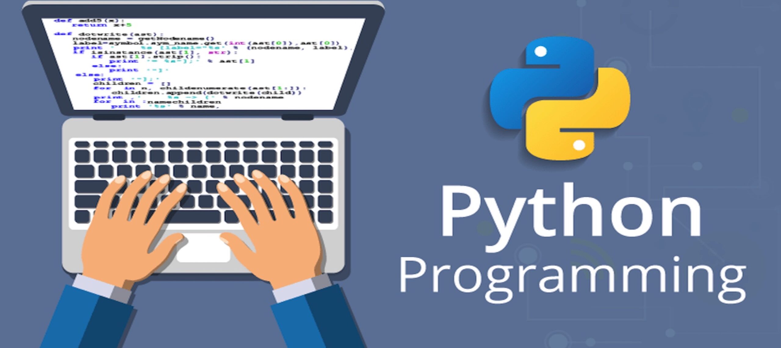 Python for everyone – learn the basics of Python from a professional instructor!